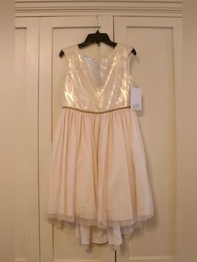 NWT Belle Badgley Mischka Girls Fit & Flare dress with Gold Detail | Size 14